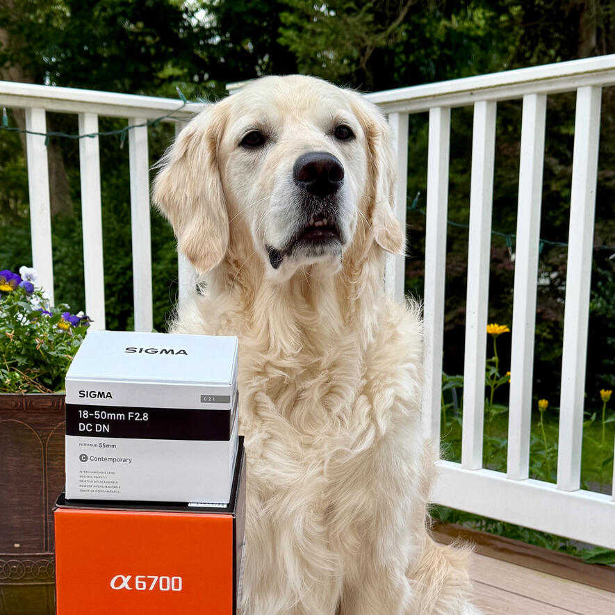 Content Creator Gear Camera, desk Setup, etc.