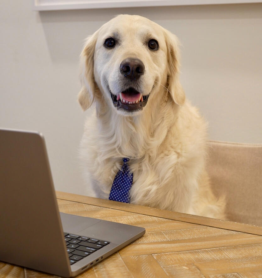 Shop Our Full Storefront Browse everything