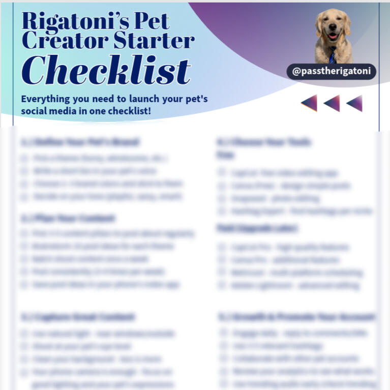 Pet Creator Starter Checklist Social media setup, ideas, and gear tips!