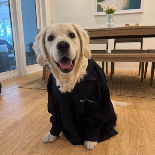 Living the Dream – Premium Embroidered Quarter Zip Fleece Pullover