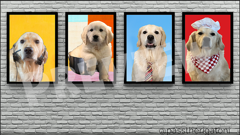 The Rigatoni Hall of Fame - Free Virtual Background